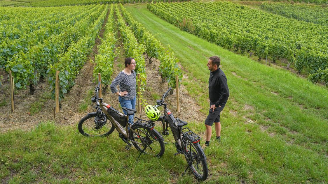 Vtt montagne de reims 2025